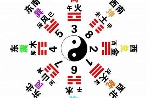 八字五行比例|八字五行算命和人生起伏图